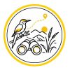 birdwatching-tour-in-iran-observing-native-and-migratory-birds-in-diverse-ecosystems-and-natural-wetlands-of-iran