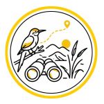 birdwatching-tour-in-iran-observing-native-and-migratory-birds-in-diverse-ecosystems-and-natural-wetlands-of-iran