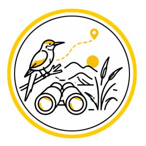 birdwatching-tour-in-iran-observing-native-and-migratory-birds-in-diverse-ecosystems-and-natural-wetlands-of-iran