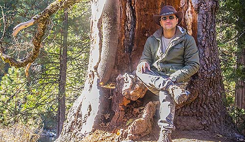 amin-adelili-founder-of-jeytravel-at-sequoia-national-park-california-usa-famous-giant-sequoia-trees-travel-experience